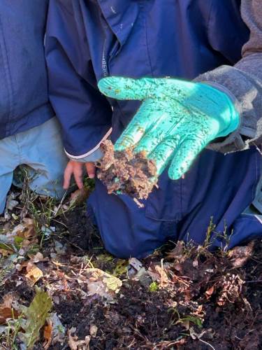 Dette var det som var igjen av pæra (vi tror det hvertfall var pæra)